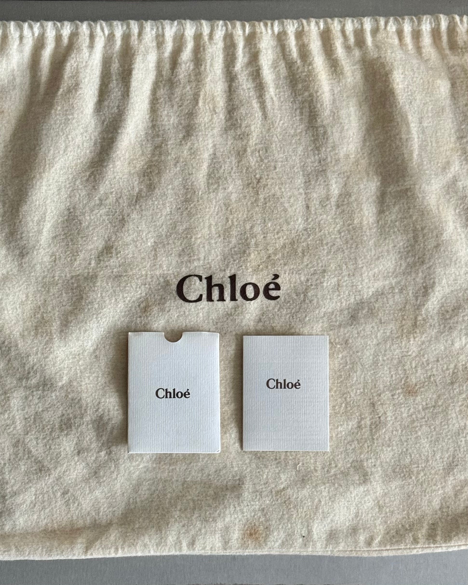 2000s Chloe Gold Silverado Python Bag by Phoebe Philo
